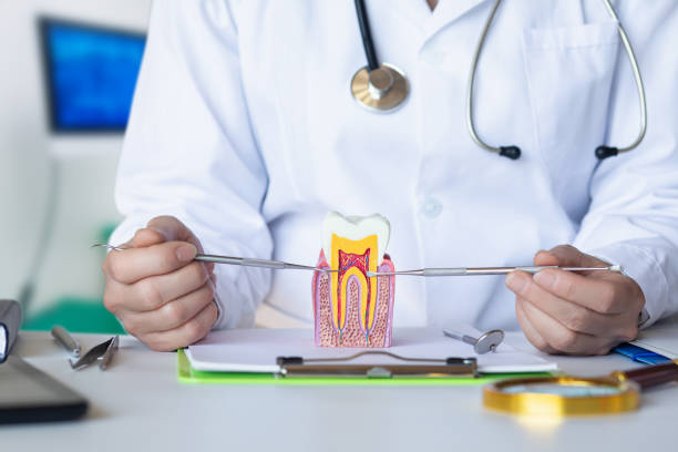 Best Walk-In Emergency Dentist in Garden Home Whitfd, OR